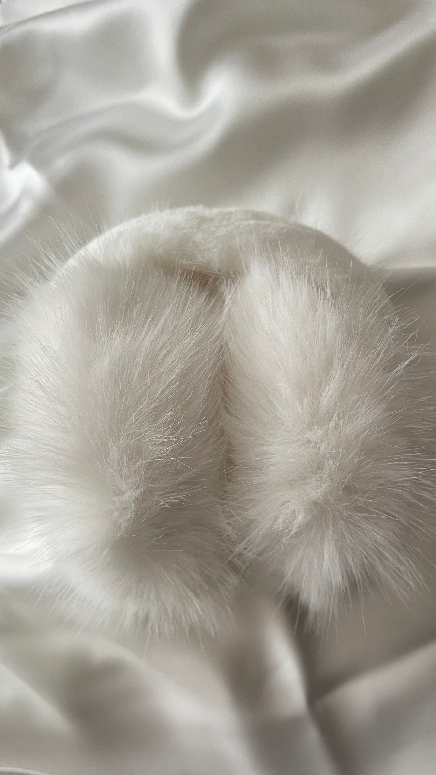 Cache oreilles SNOW