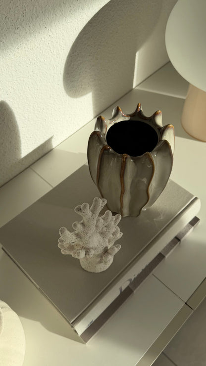Corail décoratif