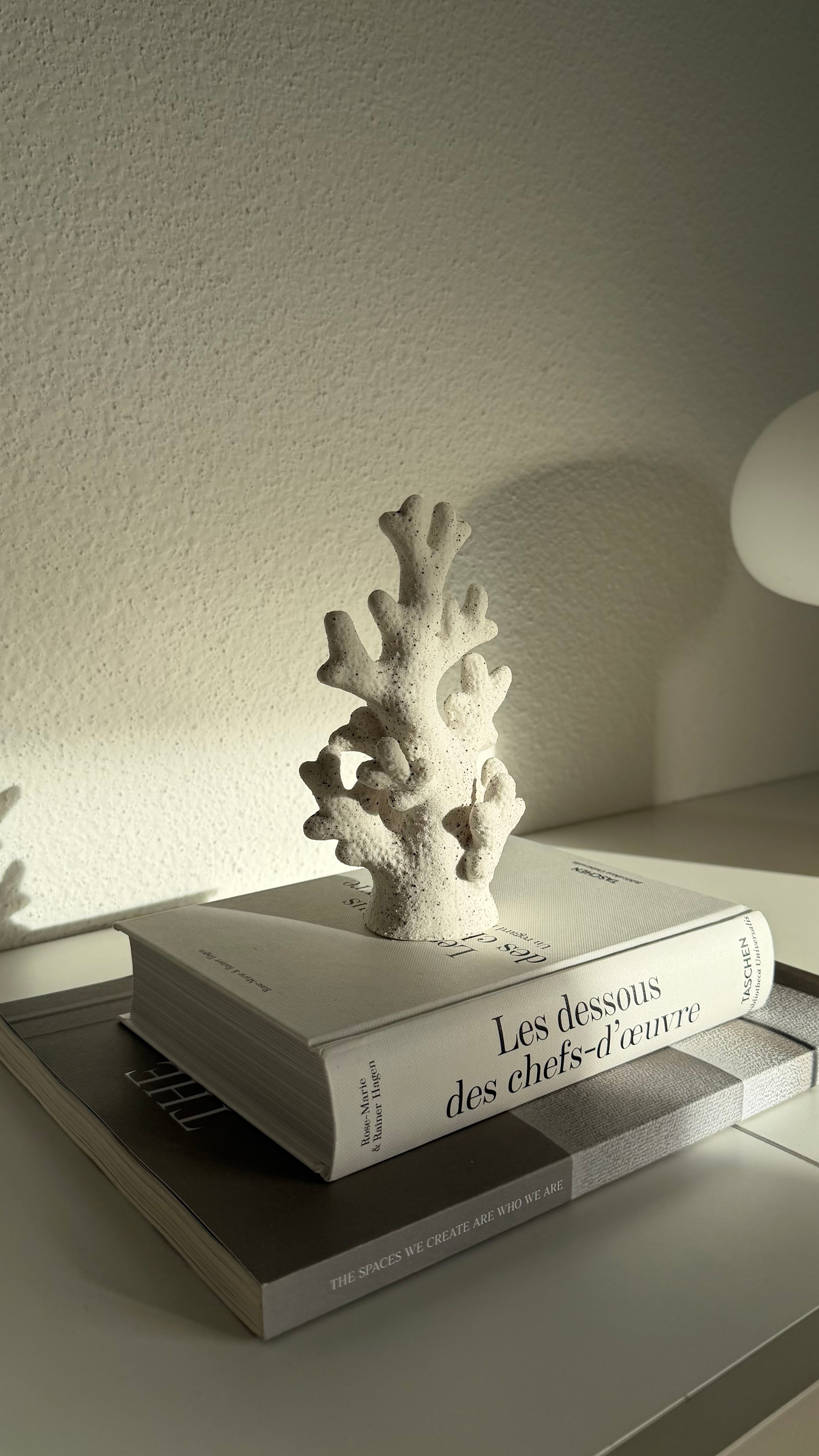 Corail décoratif