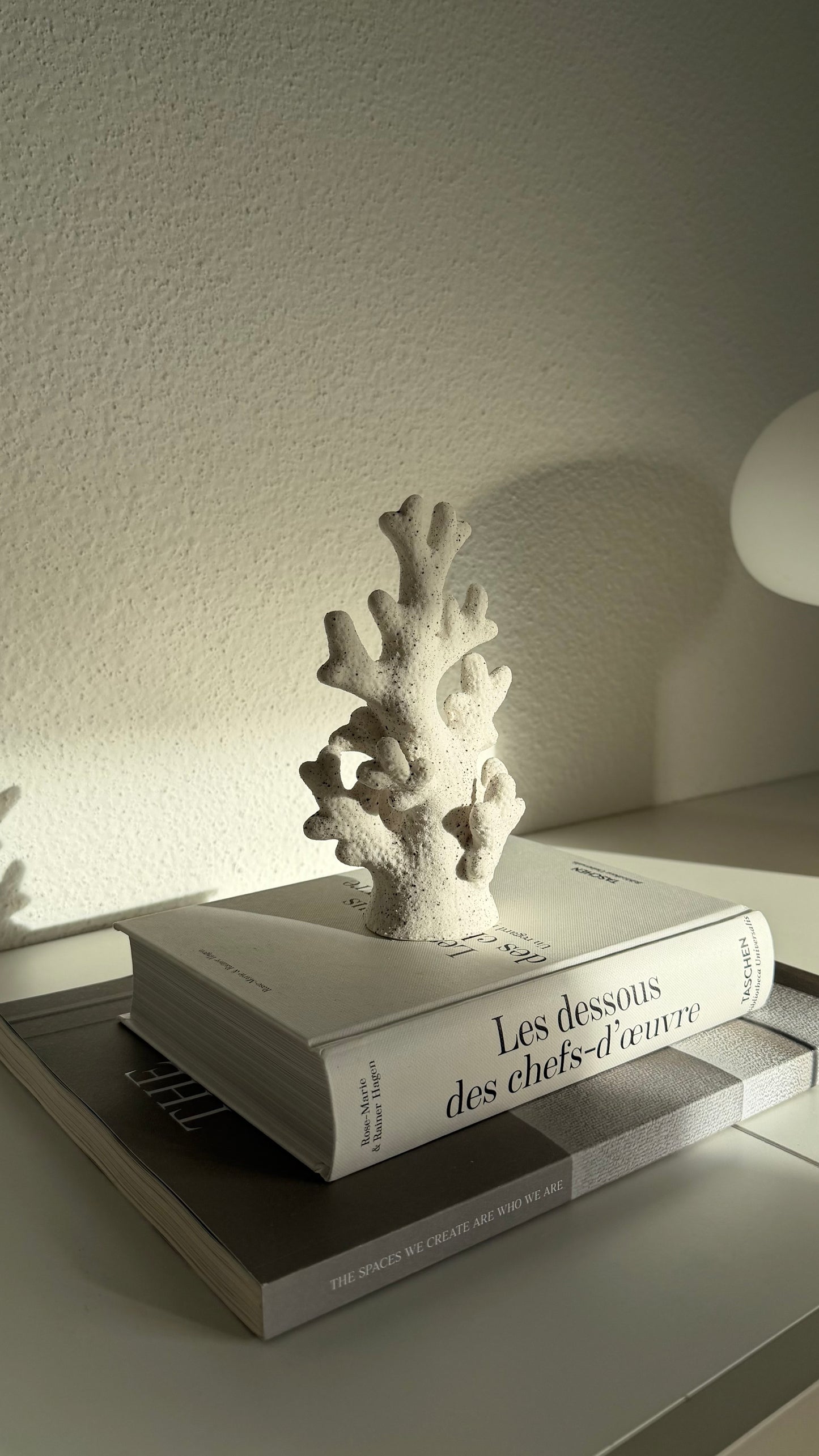 Corail décoratif
